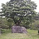 https://www.farmnet.kr/data/file/gallery/thumb-32907931_s0NUQomw_9351d590a66ca900f6d581435b6d910e981e9f2f_80x80.jpg