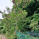 https://www.farmnet.kr/data/file/gallery/thumb-33059127_U3BybLR5_dee0159b368489f6a0ec050394907ddcdcc80e34_80x80.jpg