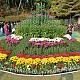 https://www.farmnet.kr/data/file/gallery/thumb-33059127_gNwjyshJ_7f5268f1e0a3403cb0daac7e249a1ac793788c90_80x80.jpg