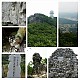 https://www.farmnet.kr/data/file/gallery/thumb-3717190841_Aaf1qzSe_PhotoGrid_1434358486923_80x80.jpg